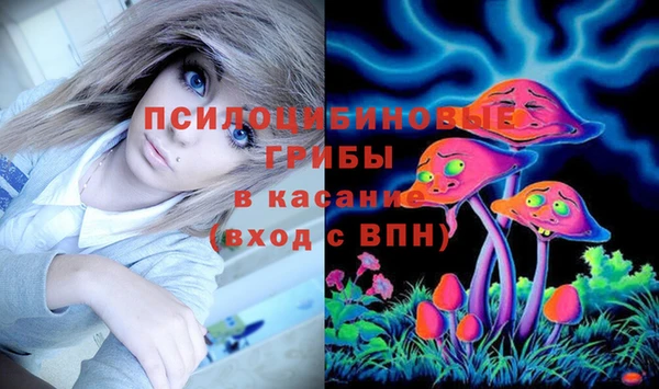 спиды Инсар
