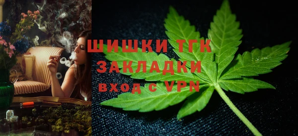 спиды Инсар