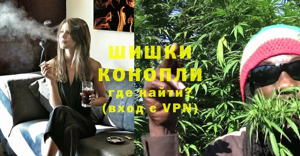 спиды Инсар