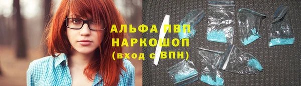спиды Инсар