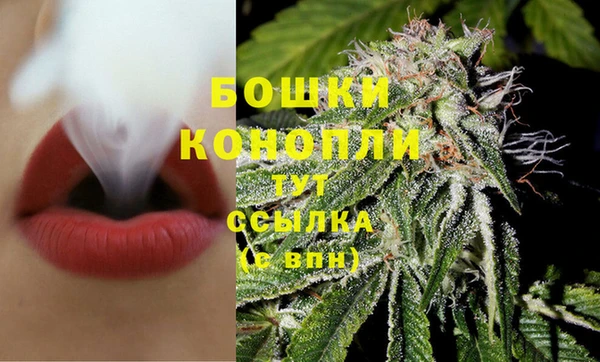 спиды Инсар